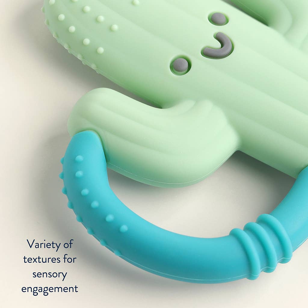 Cactus Chew Crew® - Premium teethers from Itzy Ritzy - Just $9.95! Shop now at Pat's Monograms