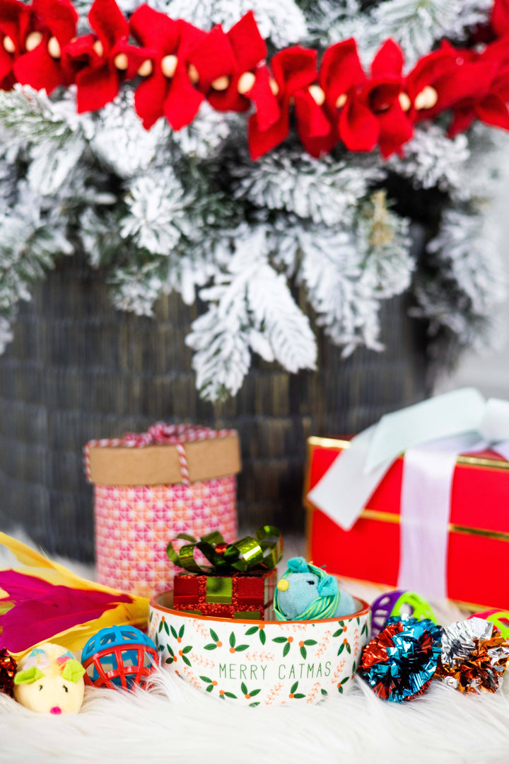 Merry Catmas, Cat Holiday And Christmas Feeding Bowl - Premium Pet Accessories from Pearhead - Just $8.95! Shop now at Pat's Monograms