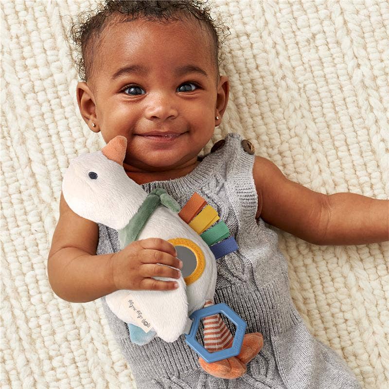 Bitzy Traveler™ - Premium Baby Toys & Activity Equipment from Itzy Ritzy - Just $16.99! Shop now at Pat's Monograms