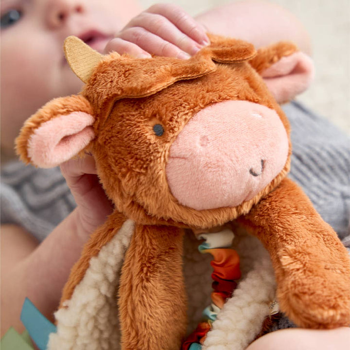 Highland Cow Itzy Friends Lovey™ Plush - Premium Baby Soothers from Itzy Ritzy - Just $13.95! Shop now at Pat's Monograms