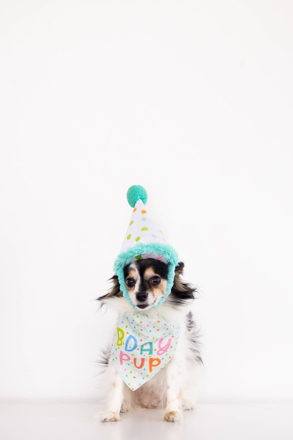Birthday Pup S/M Bandana Hat Set - Premium Pet Accessories from Pearhead - Just $12.95! Shop now at Pat's Monograms