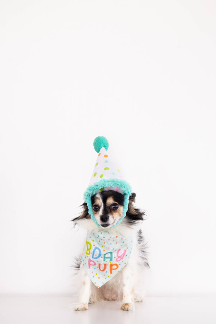 Birthday Pup S/M Bandana Hat Set - Premium Pet Accessories from Pearhead - Just $12.95! Shop now at Pat's Monograms