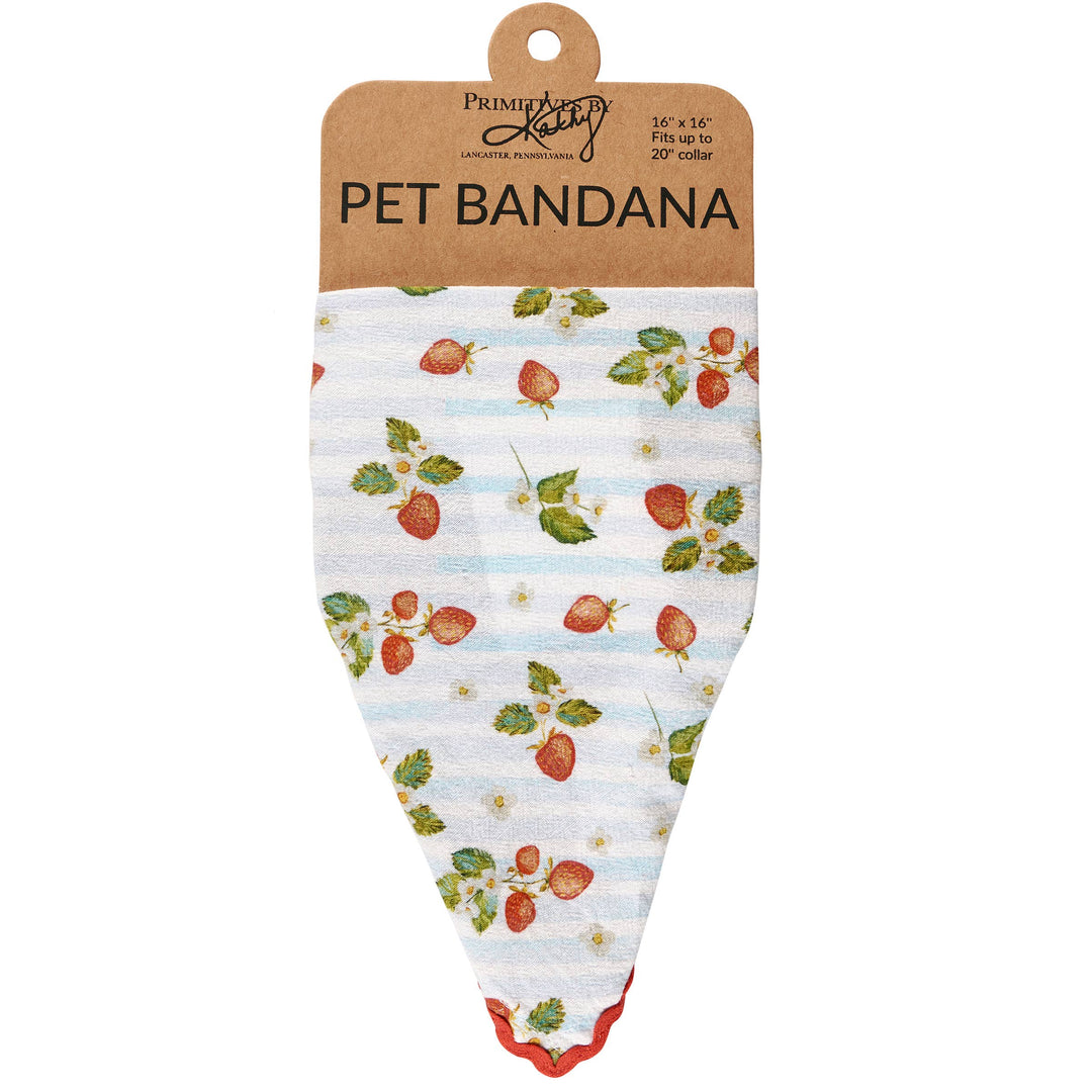 Small Strawberry Pet Bandana - Premium Dog Bandana from Primitives by Kathy - Just $10.95! Shop now at Pat's Monograms