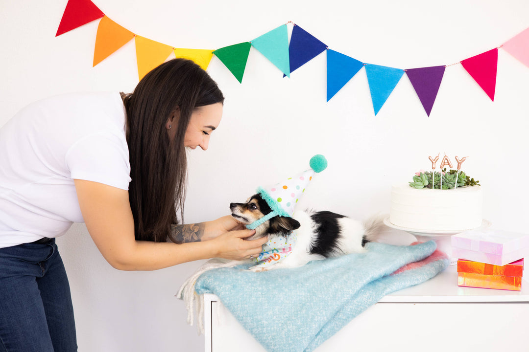 Birthday Pup S/M Bandana Hat Set - Premium Pet Accessories from Pearhead - Just $12.95! Shop now at Pat's Monograms