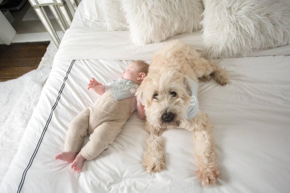 Baby And Pet Bib Set - Premium Baby Gift Sets from Pearhead - Just $12.95! Shop now at Pat's Monograms
