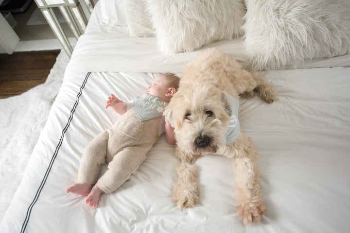 Baby And Pet Bib Set - Premium Baby Gift Sets from Pearhead - Just $12.95! Shop now at Pat's Monograms