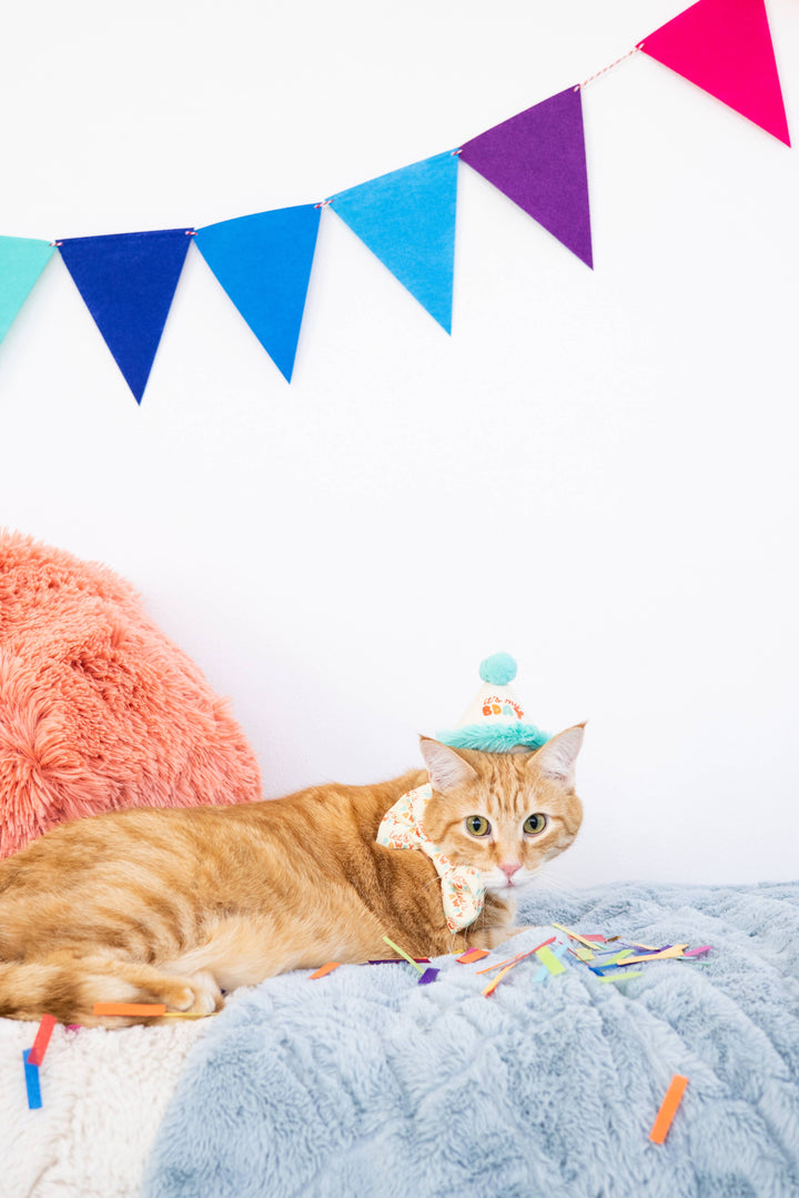 Happy Purrday Cat Hat and Bowtie Set - Premium Pet Accessories from Pearhead - Just $9.95! Shop now at Pat's Monograms