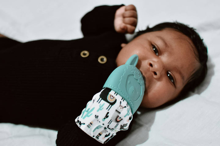 Itzy Mitt™ Silicone Teething Mitts: Highland Cow - Premium teethers from Itzy Ritzy - Just $9.95! Shop now at Pat's Monograms