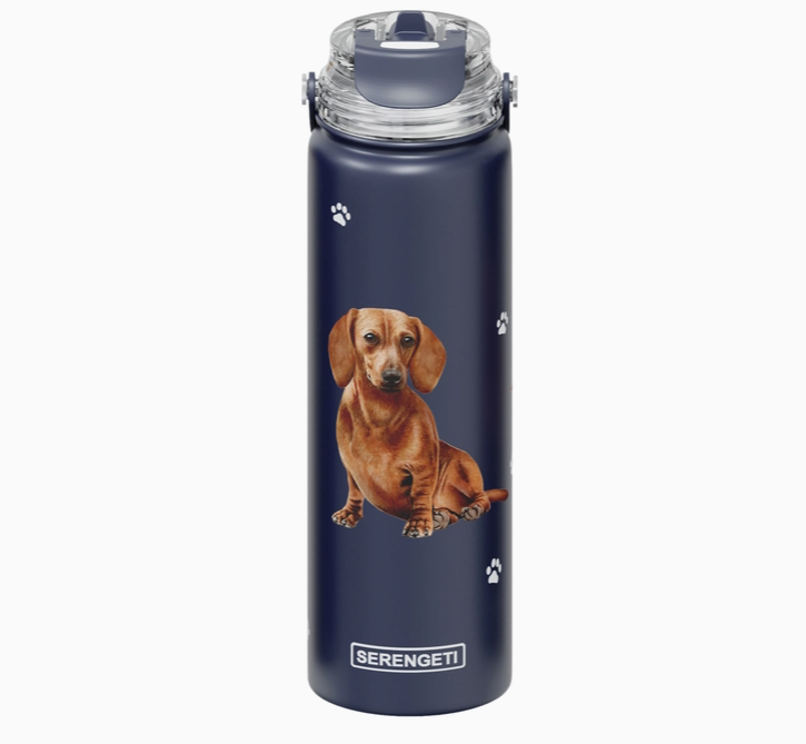 Dachshund Red Stainless Steel Water Bottle 24 Oz. SERENGETI - Premium water bottle from E&S Pets - Just $29.99! Shop now at Pat's Monograms