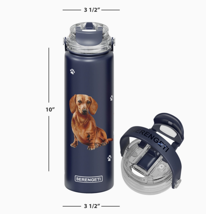 Dachshund Red Stainless Steel Water Bottle 24 Oz. SERENGETI - Premium water bottle from E&S Pets - Just $29.99! Shop now at Pat's Monograms