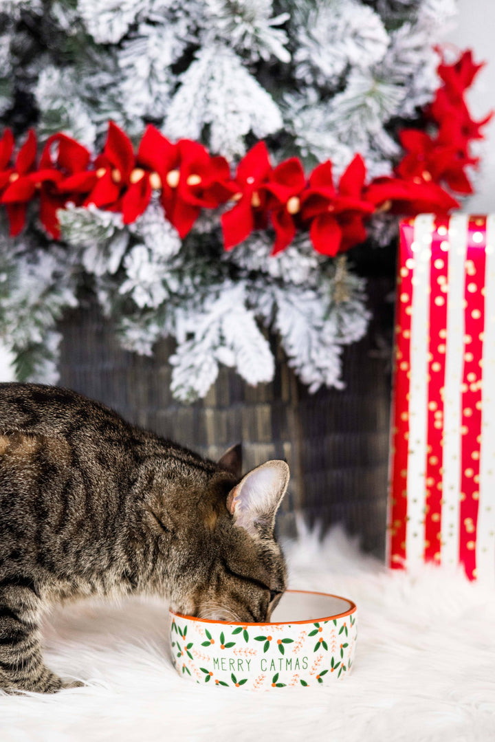 Merry Catmas, Cat Holiday And Christmas Feeding Bowl - Premium Pet Accessories from Pearhead - Just $8.95! Shop now at Pat's Monograms