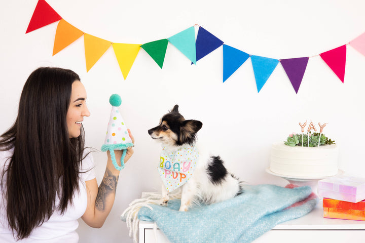 Birthday Pup S/M Bandana Hat Set - Premium Pet Accessories from Pearhead - Just $12.95! Shop now at Pat's Monograms